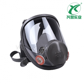 3M 6700全面型防护面罩（小号）