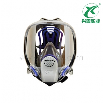 3M FF-401 硅胶全面型防护面罩（小号）