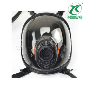 代尔塔 105008 M9000系列硅胶全面罩