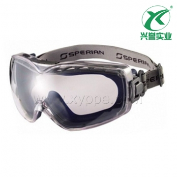 霍尼韦尔 1017750 蓝灰色镜身透明PC镜片防护眼罩