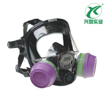 霍尼韦尔 760008AS 双滤盒硅胶全面罩
