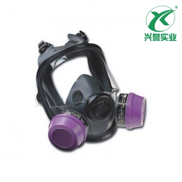 霍尼韦尔 54001 双滤盒弹性橡胶全面罩