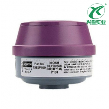 霍尼韦尔7582P100 N系列滤盒