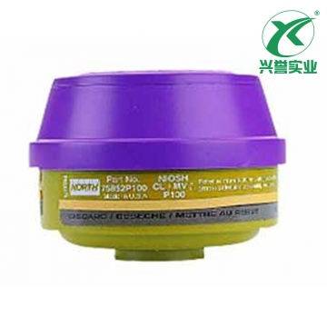 霍尼韦尔75852P100 N系列滤盒