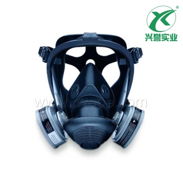 霍尼韦尔762000双滤盒硅胶全面罩