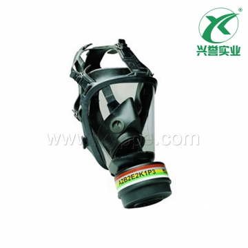 霍尼韦尔 1715021 硅胶全面罩