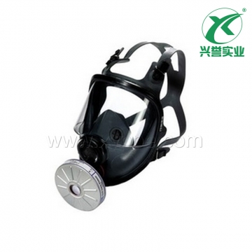 霍尼韦尔 54201 EPDM 全面罩