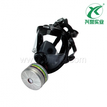 霍尼韦尔 54301 硅胶全面罩