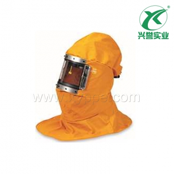 霍尼韦尔 A114201 JUNIOR B-Combi-vl 通风头罩