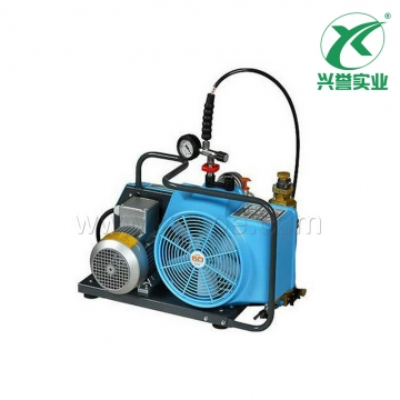 霍尼韦尔 BC163099B-T 高压气瓶充气泵