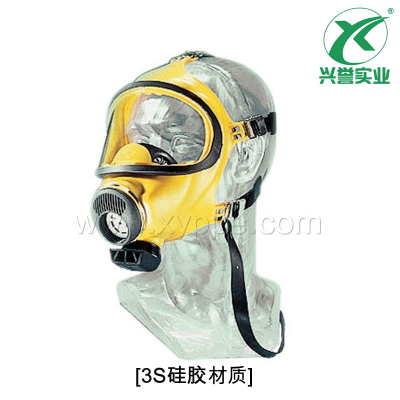 梅思安（MSA）3S系列全面罩呼吸器D2055000