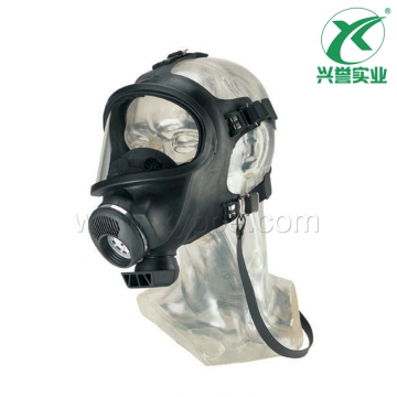 梅思安（MSA）宽视野全面罩D2055790