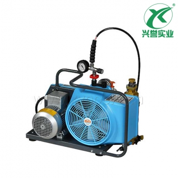 霍尼韦尔BC163099BP-T 高压气瓶充气泵