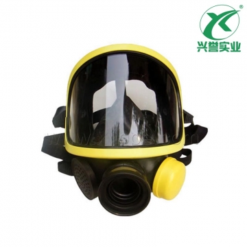 霍尼韦尔PANO呼吸器全面罩1710397