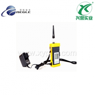 羿科 可燃气体检测仪AG2000