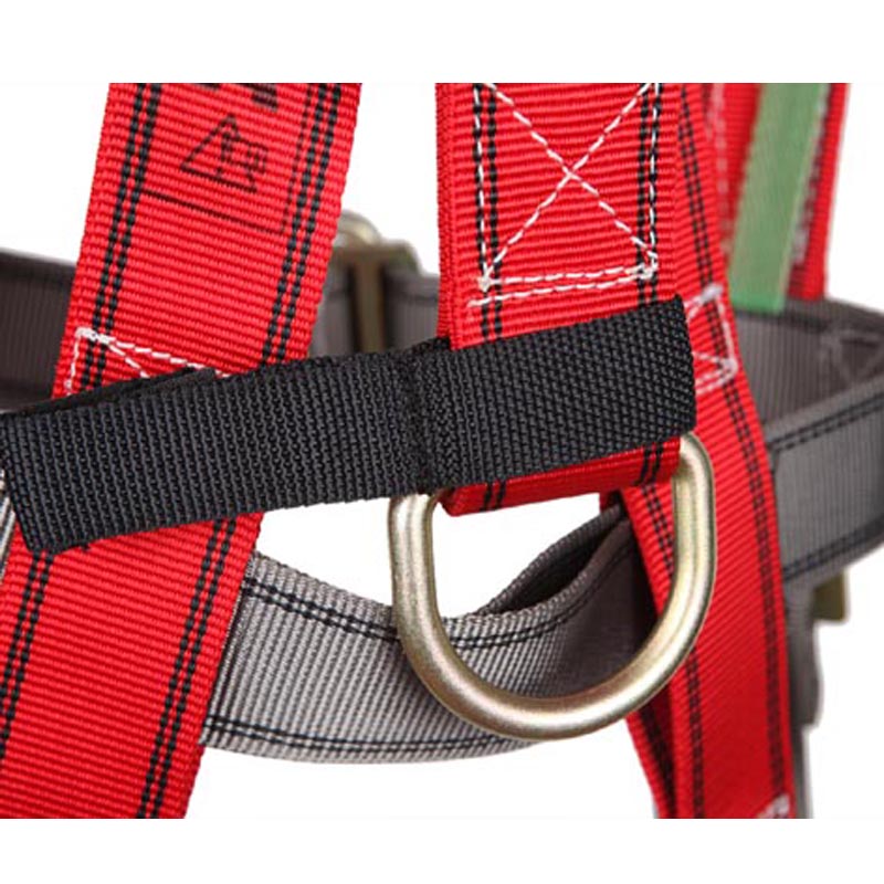 羿科60816704 PN25全身式安全带