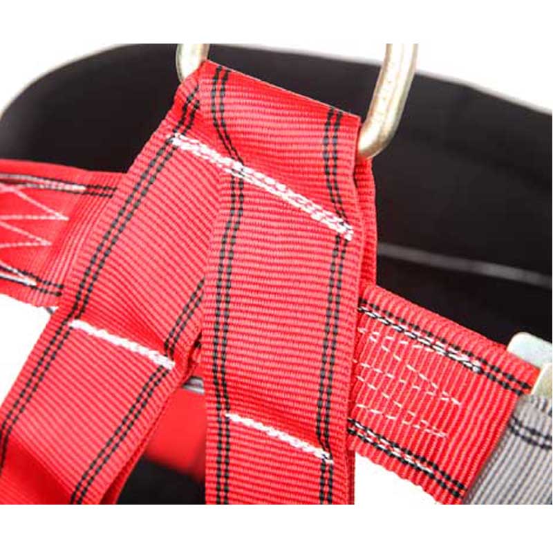 羿科60816706 PN51半身式安全带