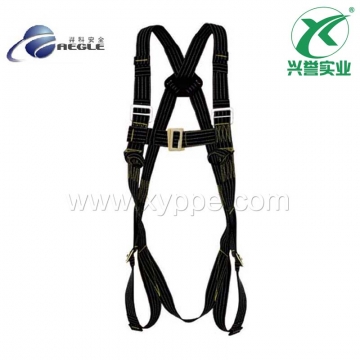 羿科60816708 PN22(AS)防静电安全带