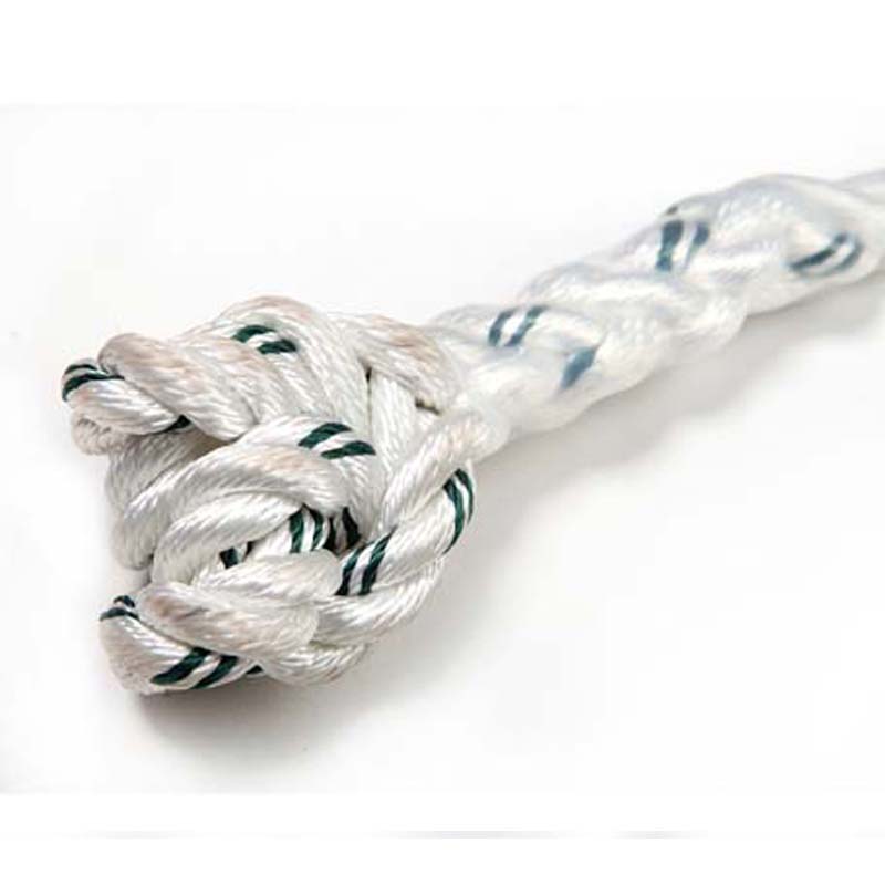 羿科60816712 PN242-2定位连接绳