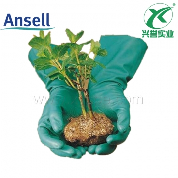 Ansell 3981丁腈橡胶防化手套