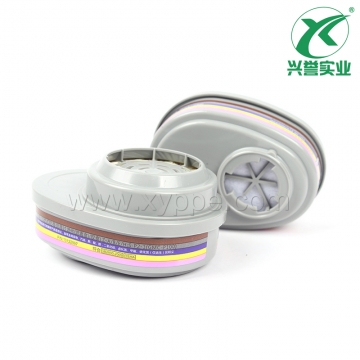 梅思安 10120750（815364）GMC-P100滤片