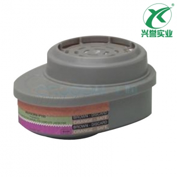 梅思安10120761（815365）GMD-P100滤片