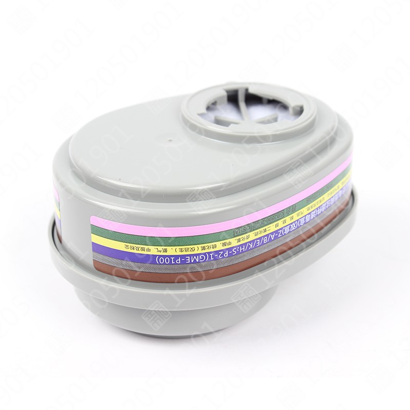 梅思安10120762 GME-P100滤片(老编号815366)