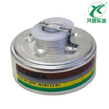 梅思安10108408-CN 过滤罐 90AX