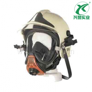 梅思安10045899 UE宽大视野防毒面罩
