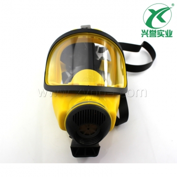 梅思安D2055718 Auer 3S宽视野全面罩