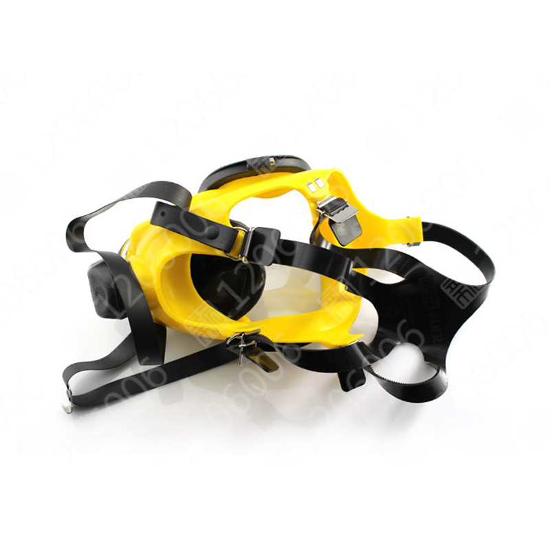 梅思安D2055718 Auer 3S宽视野全面罩