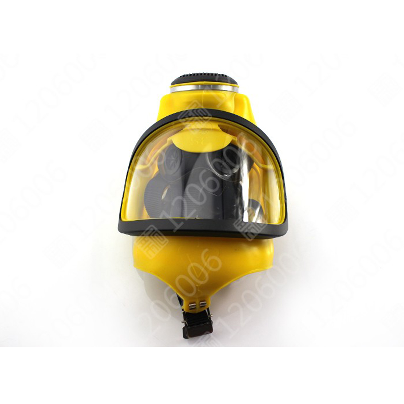 梅思安D2055718 Auer 3S宽视野全面罩