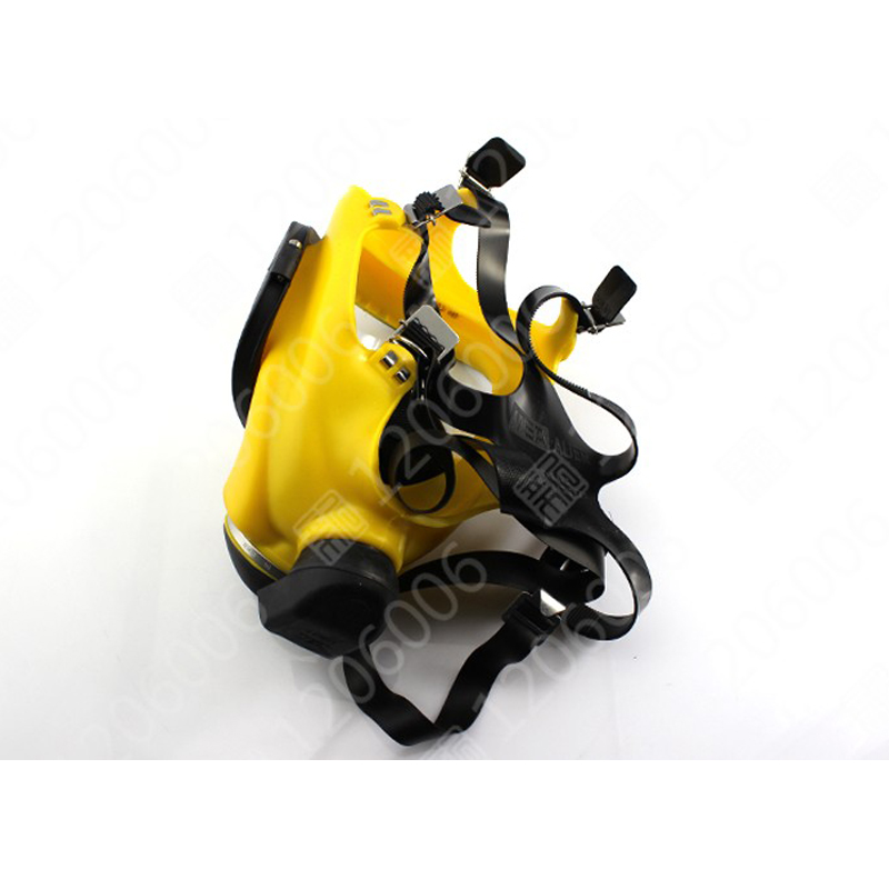 梅思安D2055718 Auer 3S宽视野全面罩