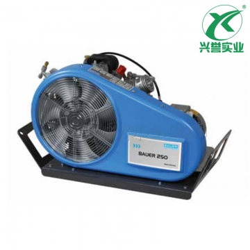 宝华BAUER200-TE空气压缩机/充气泵