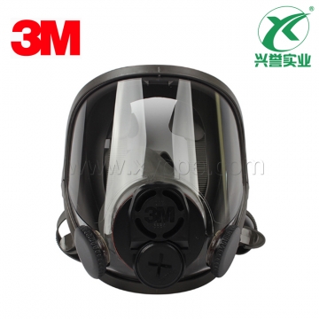 3M 6800DIN全面具