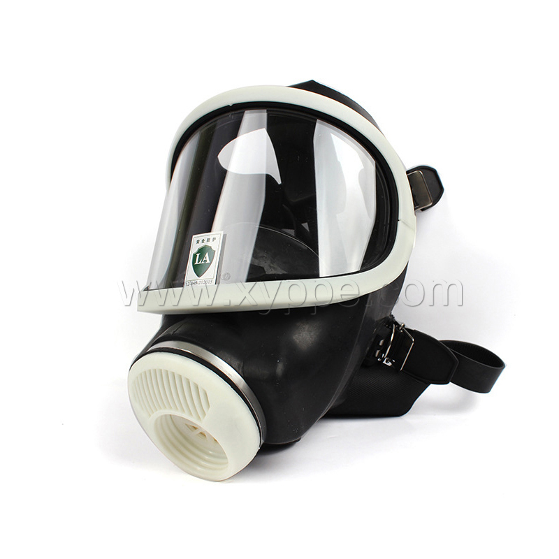 梅思安 D2055790-CN 宽视野全面罩 Auer 3S Basic