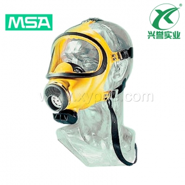 梅思安 D2055000-CN 宽视野全面罩 Auer 3S