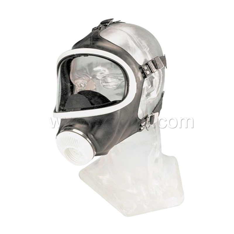 梅思安 D2055718-CN 宽视野全面罩 Auer 3S