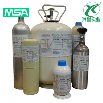 梅思安10154978进口标气