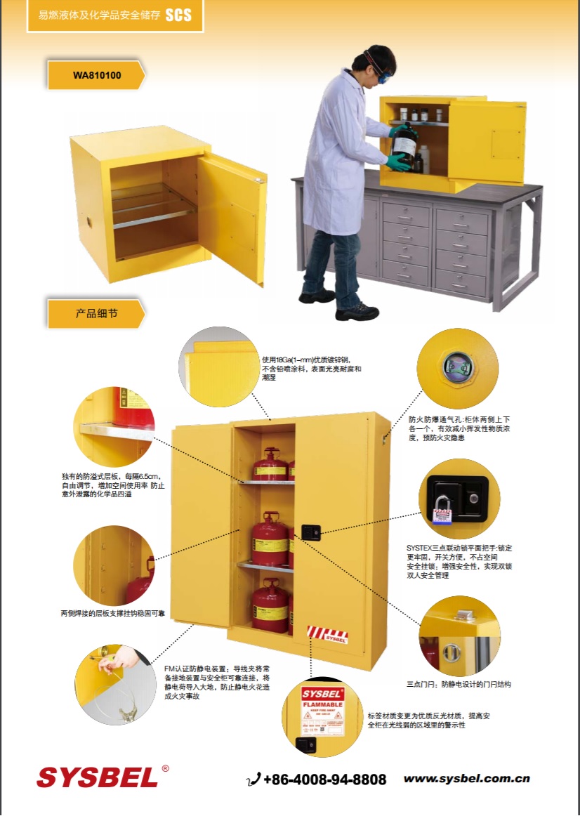 西斯贝尔SYSBEL WA810100易燃液体防火安全柜(10Gal/38L)