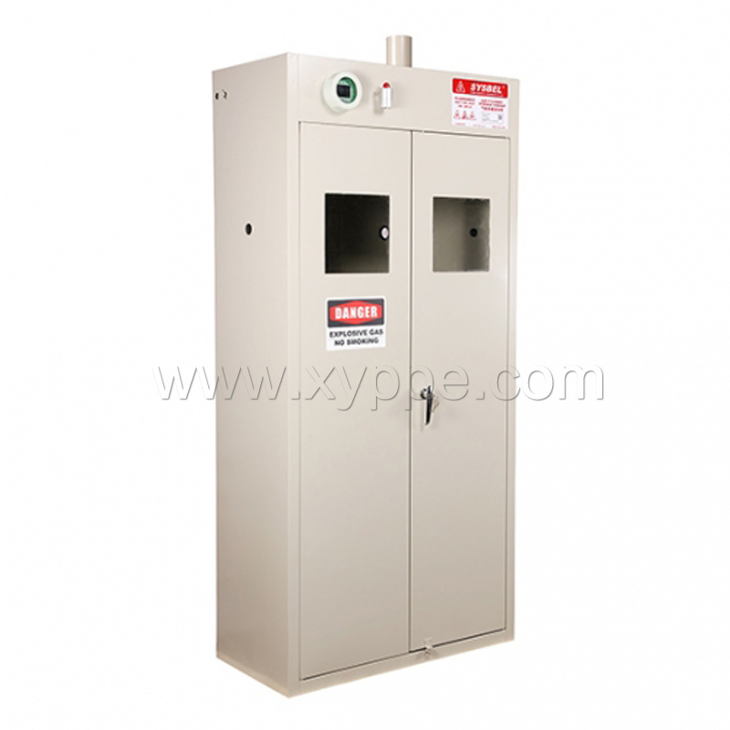 西斯贝尔SYSBEL WA720102两瓶型智能气瓶柜